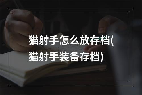 猫射手怎么放存档(猫射手装备存档)