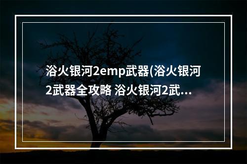 浴火银河2emp武器(浴火银河2武器全攻略 浴火银河2武器大全)