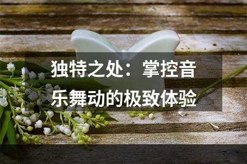 独特之处：掌控音乐舞动的极致体验