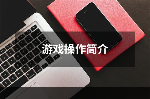 游戏操作简介