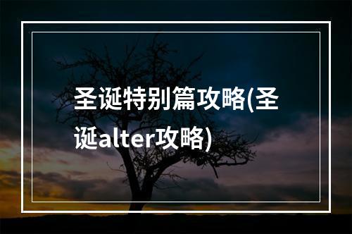 圣诞特别篇攻略(圣诞alter攻略)