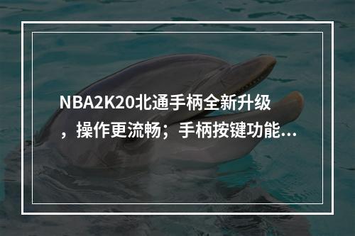 NBA2K20北通手柄全新升级，操作更流畅；手柄按键功能详解(NBA2K20手柄新操作方法亮相，北通手柄助你畅玩球场)