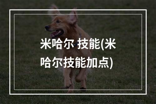 米哈尔 技能(米哈尔技能加点)