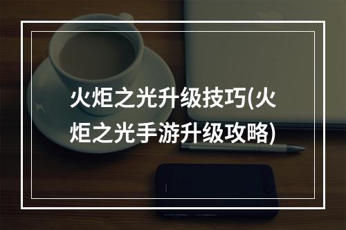 火炬之光升级技巧(火炬之光手游升级攻略)