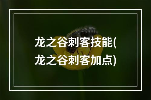 龙之谷刺客技能(龙之谷刺客加点)