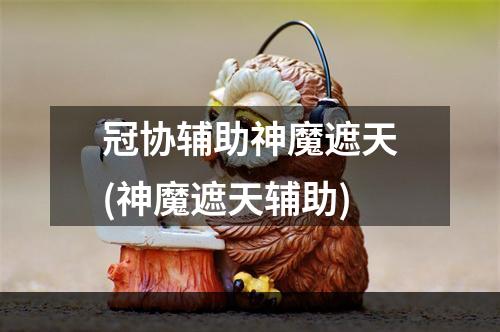 冠协辅助神魔遮天(神魔遮天辅助)