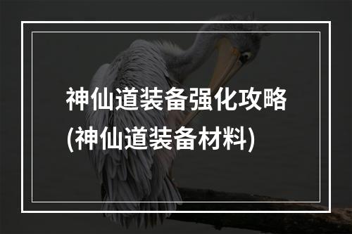 神仙道装备强化攻略(神仙道装备材料)