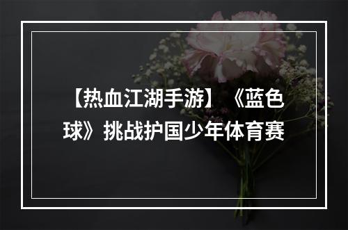 【热血江湖手游】《蓝色球》挑战护国少年体育赛