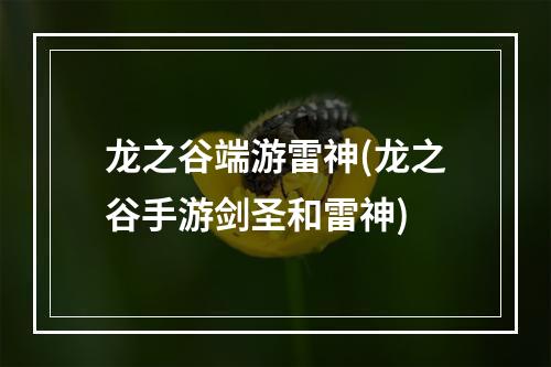 龙之谷端游雷神(龙之谷手游剑圣和雷神)