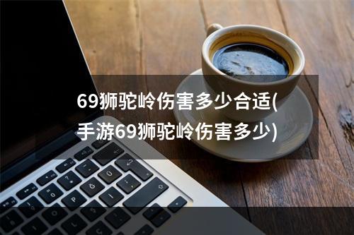 69狮驼岭伤害多少合适(手游69狮驼岭伤害多少)