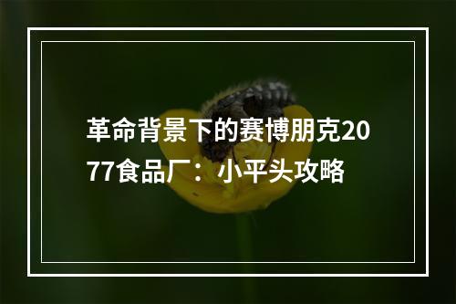 革命背景下的赛博朋克2077食品厂：小平头攻略