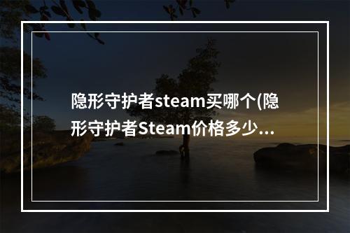 隐形守护者steam买哪个(隐形守护者Steam价格多少 销量第一的游戏需要什么配置)