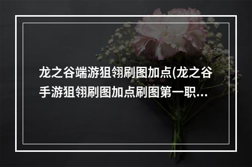 龙之谷端游狙翎刷图加点(龙之谷手游狙翎刷图加点刷图第一职业加点)