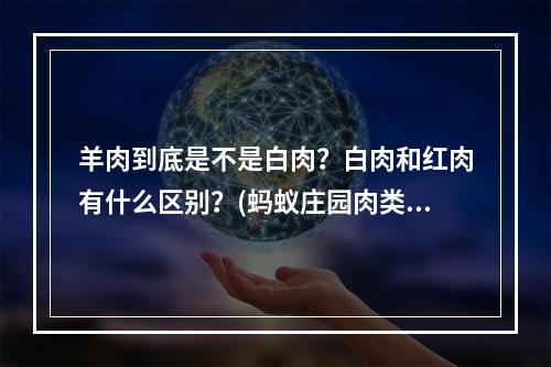 羊肉到底是不是白肉？白肉和红肉有什么区别？(蚂蚁庄园肉类大比拼哪种肉属于白肉？)