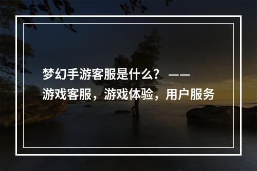 梦幻手游客服是什么？ —— 游戏客服，游戏体验，用户服务