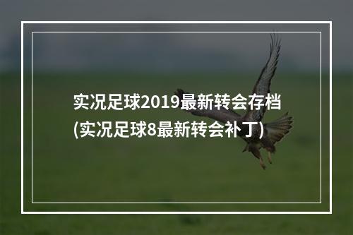 实况足球2019最新转会存档(实况足球8最新转会补丁)