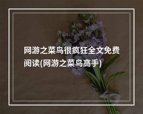 网游之菜鸟很疯狂全文免费阅读(网游之菜鸟高手)