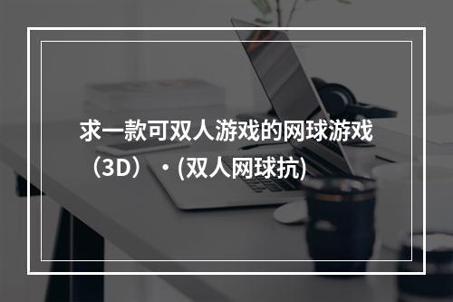 求一款可双人游戏的网球游戏（3D）・(双人网球抗)