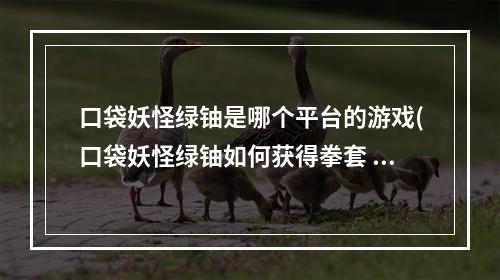 口袋妖怪绿铀是哪个平台的游戏(口袋妖怪绿铀如何获得拳套 口袋妖怪绿铀获得拳套方法 历)