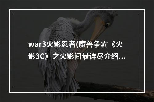 war3火影忍者(魔兽争霸《火影3C》之火影间最详尽介绍及技巧)