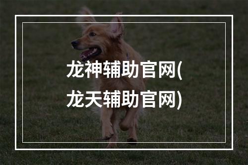 龙神辅助官网(龙天辅助官网)