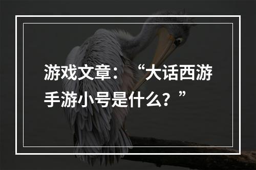 游戏文章：“大话西游手游小号是什么？”