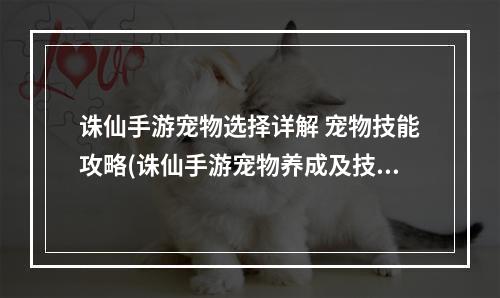 诛仙手游宠物选择详解 宠物技能攻略(诛仙手游宠物养成及技能预测)