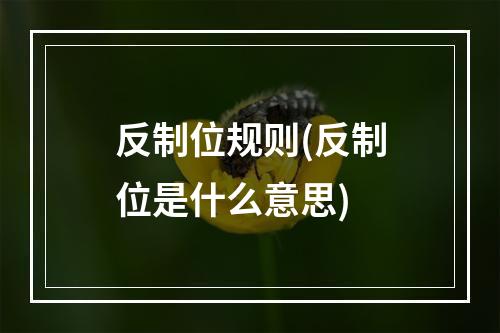 反制位规则(反制位是什么意思)