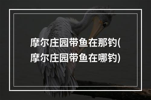 摩尔庄园带鱼在那钓(摩尔庄园带鱼在哪钓)