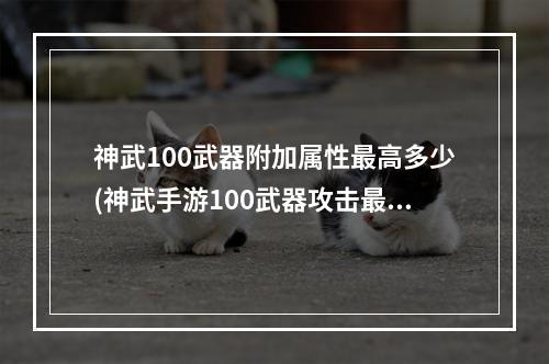 神武100武器附加属性最高多少(神武手游100武器攻击最高是多少)