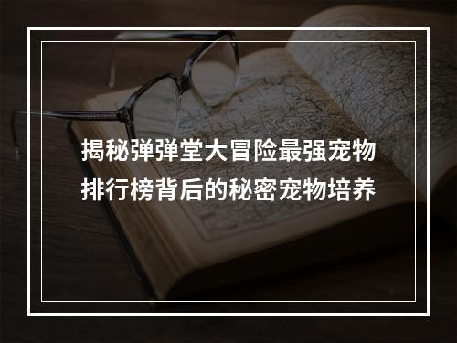 揭秘弹弹堂大冒险最强宠物排行榜背后的秘密宠物培养