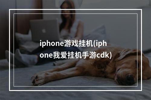 iphone游戏挂机(iphone我爱挂机手游cdk)