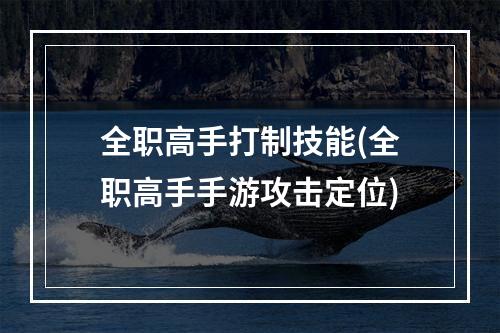 全职高手打制技能(全职高手手游攻击定位)