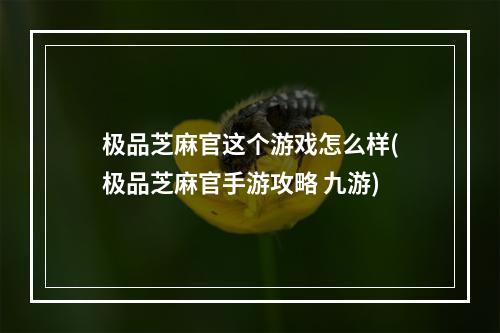 极品芝麻官这个游戏怎么样(极品芝麻官手游攻略 九游)