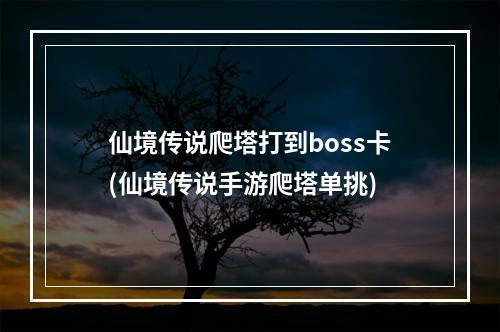 仙境传说爬塔打到boss卡(仙境传说手游爬塔单挑)