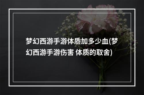 梦幻西游手游体质加多少血(梦幻西游手游伤害 体质的取舍)