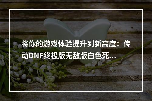 将你的游戏体验提升到新高度：传动DNF终极版无敌版白色死神攻略