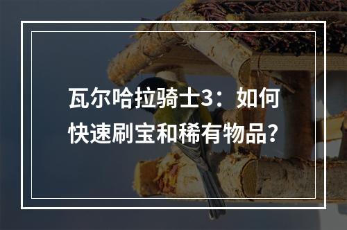 瓦尔哈拉骑士3：如何快速刷宝和稀有物品？