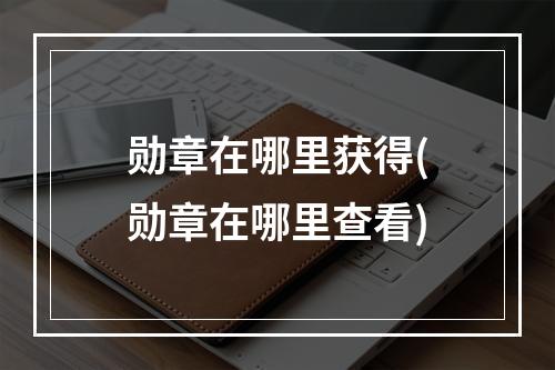 勋章在哪里获得(勋章在哪里查看)