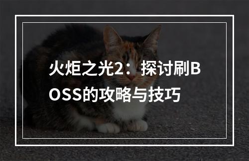 火炬之光2：探讨刷BOSS的攻略与技巧