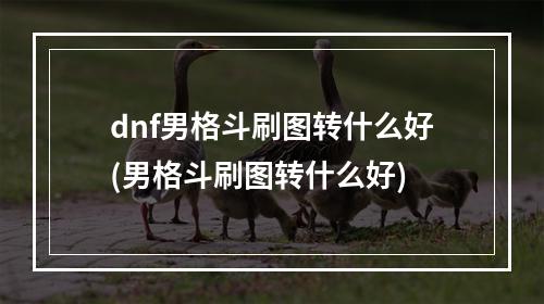 dnf男格斗刷图转什么好(男格斗刷图转什么好)