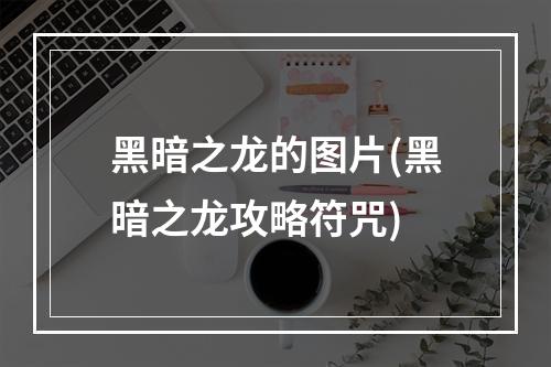 黑暗之龙的图片(黑暗之龙攻略符咒)