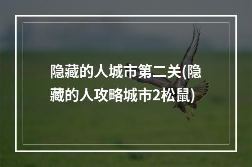 隐藏的人城市第二关(隐藏的人攻略城市2松鼠)