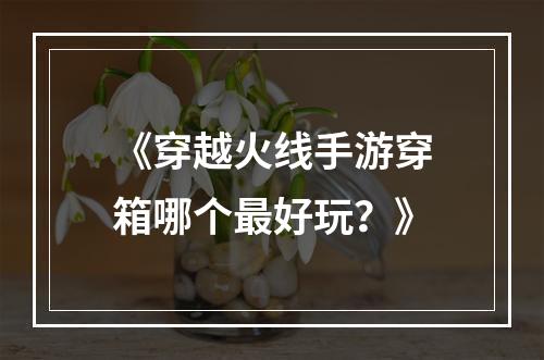 《穿越火线手游穿箱哪个最好玩？》