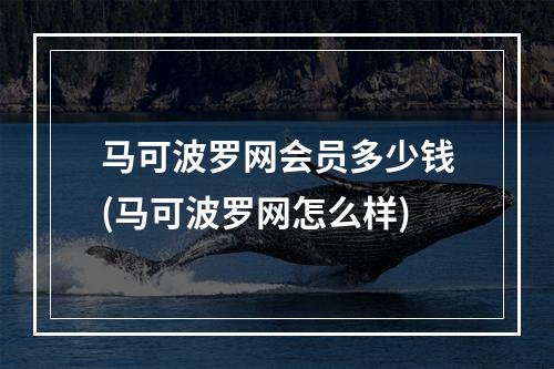 马可波罗网会员多少钱(马可波罗网怎么样)