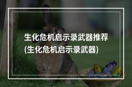 生化危机启示录武器推荐(生化危机启示录武器)