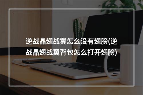 逆战晶翅战翼怎么没有翅膀(逆战晶翅战翼背包怎么打开翅膀)