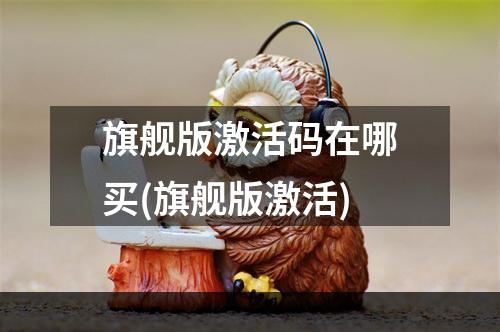 旗舰版激活码在哪买(旗舰版激活)