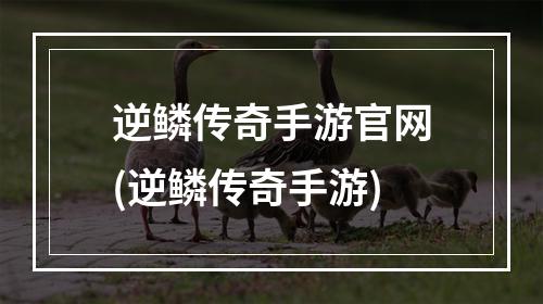 逆鳞传奇手游官网(逆鳞传奇手游)