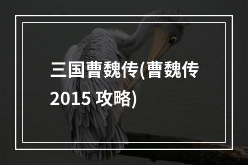 三国曹魏传(曹魏传2015 攻略)